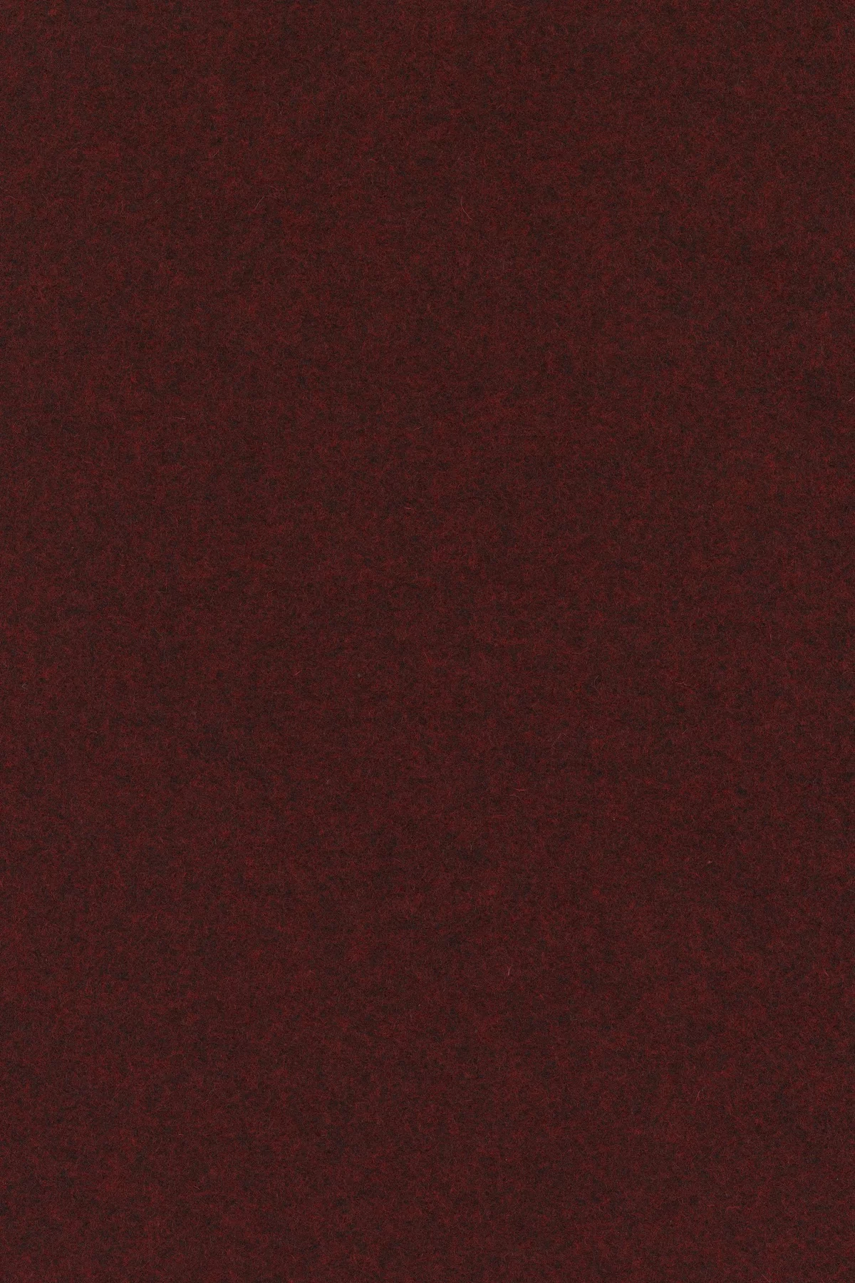 Divina melange 3, 597